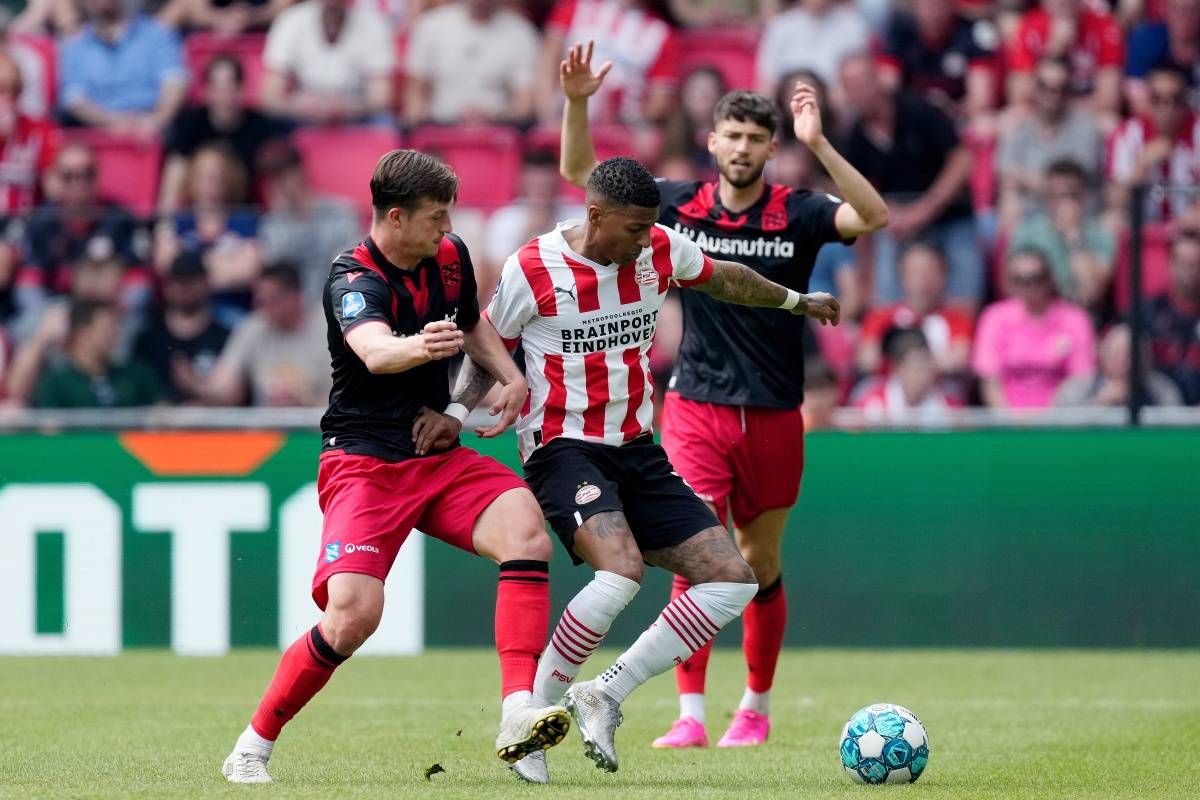 近年在预算 近年在预算