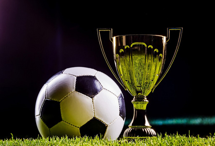 道具决定养 道具决定养